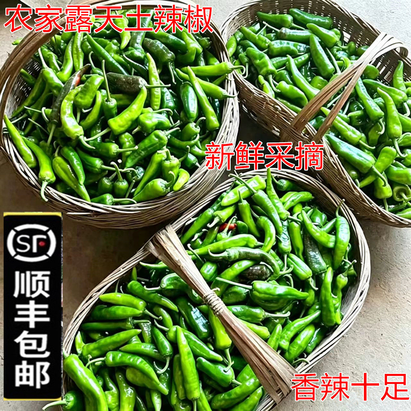 农家新鲜土辣椒薄皮特辣青椒紫红