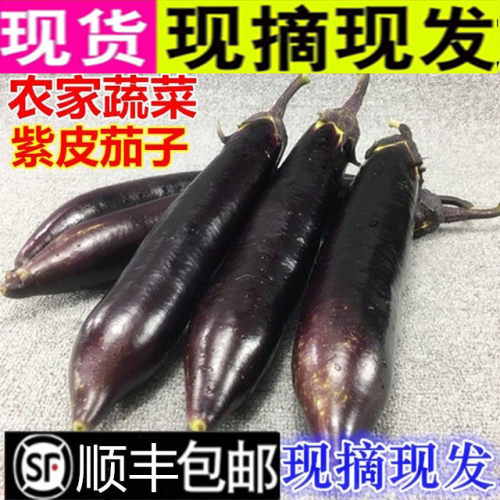 顺丰新鲜茄子农家蔬菜嫩茄紫茄子