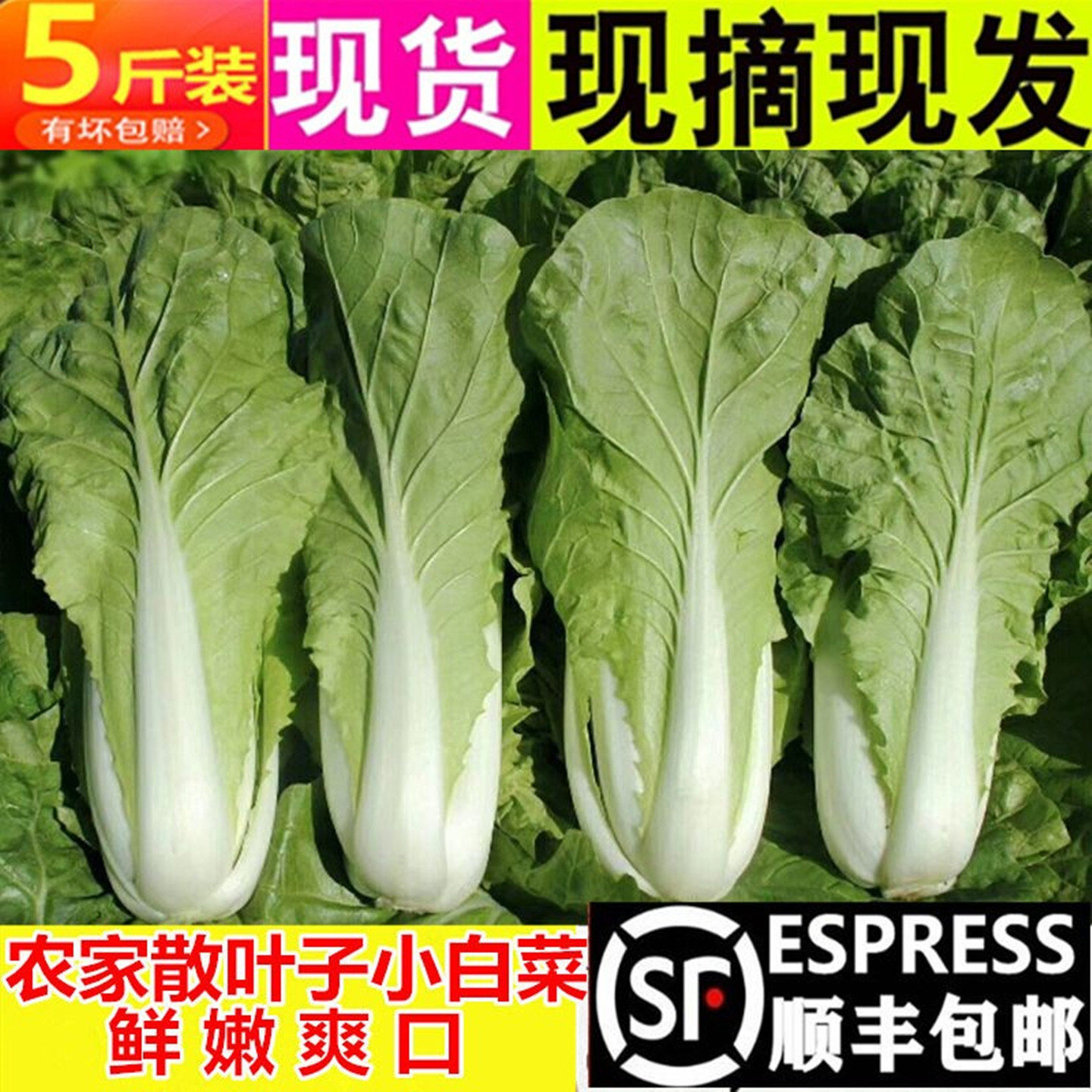 顺丰包邮4斤小白菜新鲜蔬菜散叶子白菜农家自种绿色青菜火锅叶菜,水产肉类/新鲜蔬果/熟食,叶菜类,淘宝优惠券,粉丝福利购,淘宝优惠卷