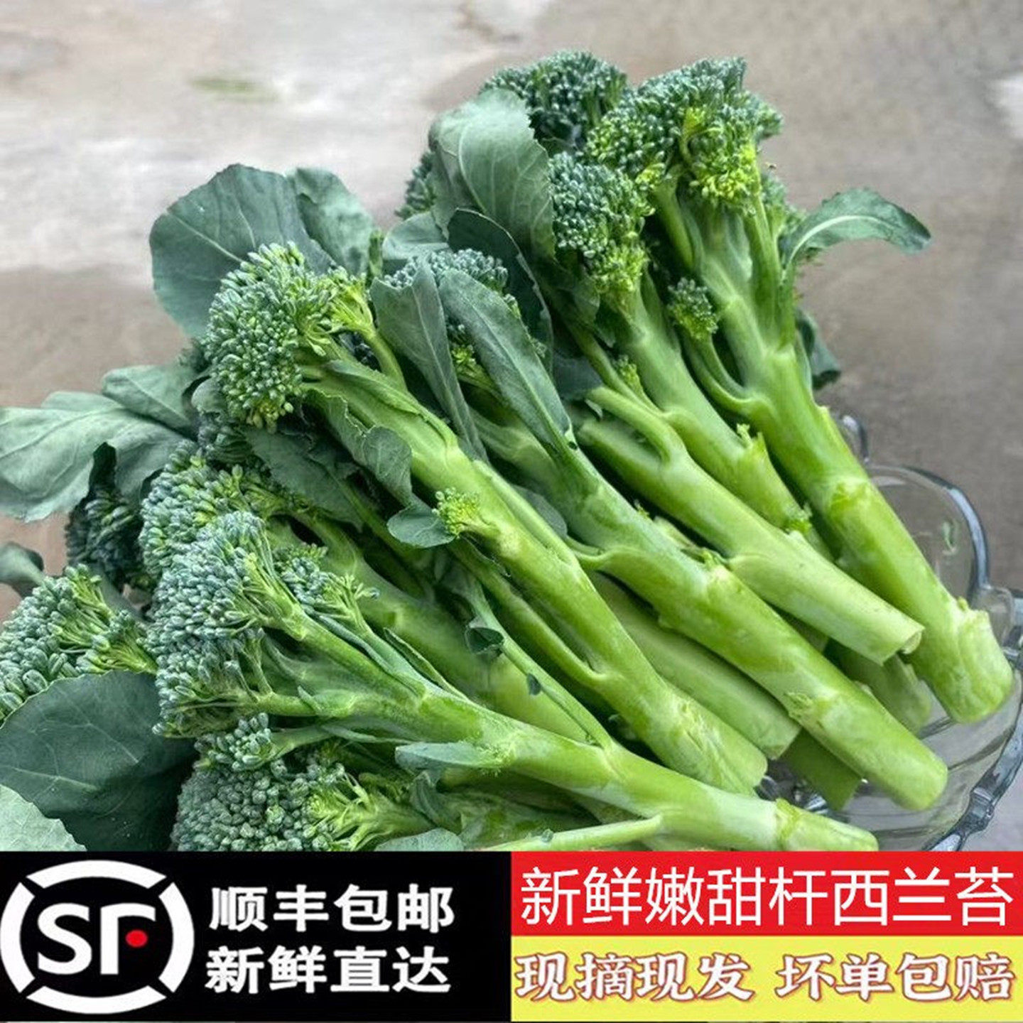 新鲜甜杆西兰花苔青长杆子蓝花苔