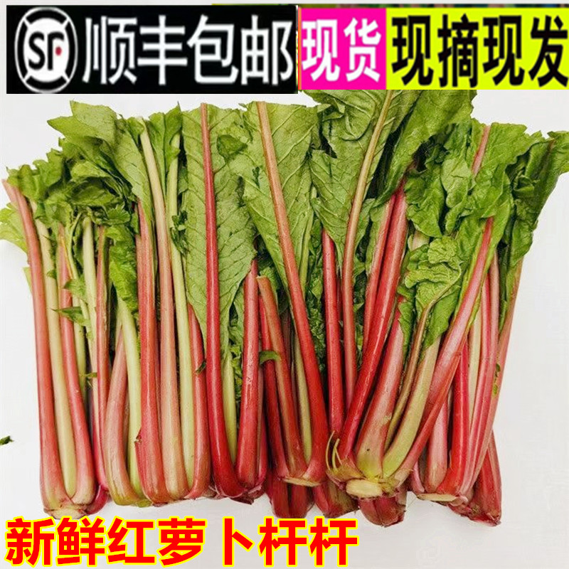 当季新鲜红皮萝卜杆子梗泡菜食材