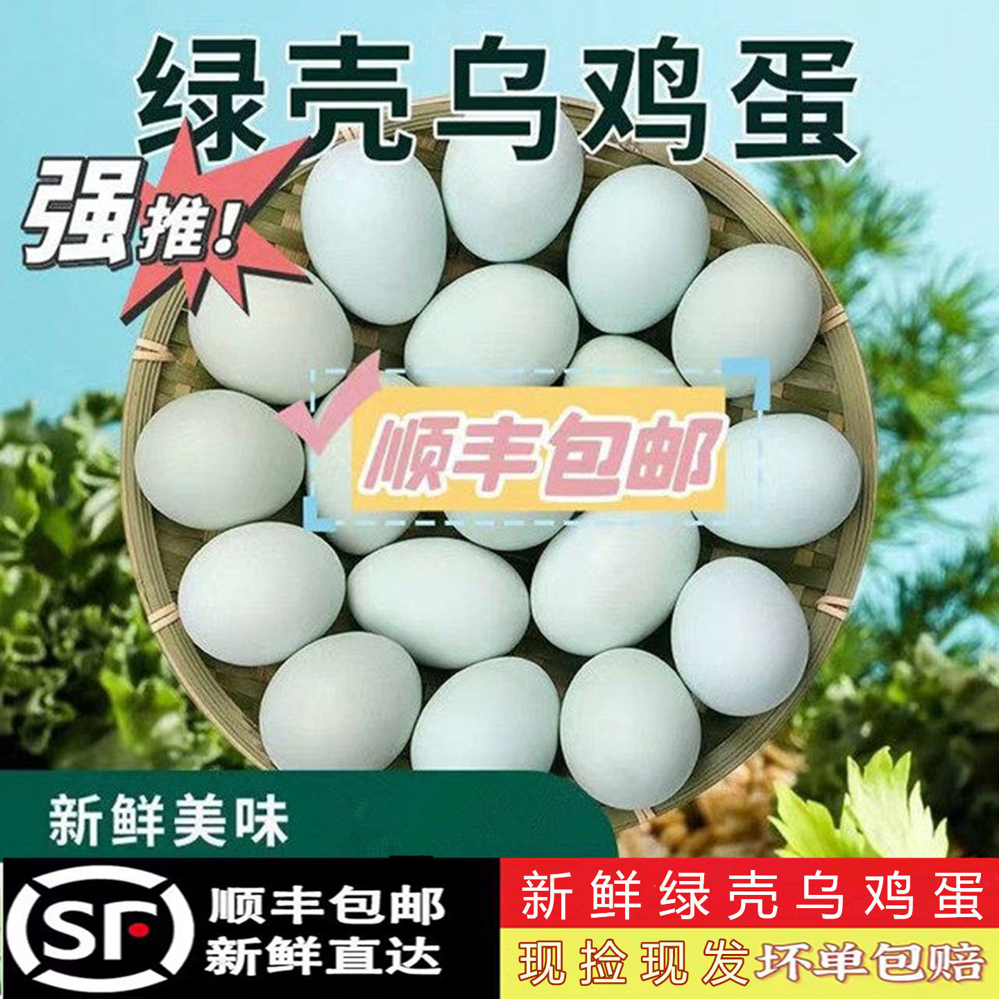 【顺丰包邮】新鲜绿壳农家散养土鸡蛋山林乌鸡蛋正宗草鸡蛋月子蛋