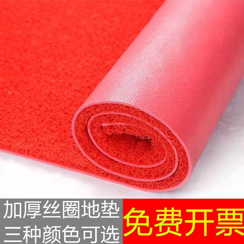 丝圈大门口防滑加厚地毯