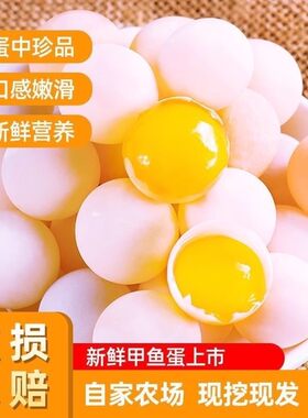 120枚防破损精品十年老鳖甲鱼蛋王八蛋鳖蛋农场养殖新鲜可食