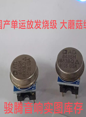 美国产单运放AD843SH/883B升AMP9927AT OPA2111 OPA604AP OPA627