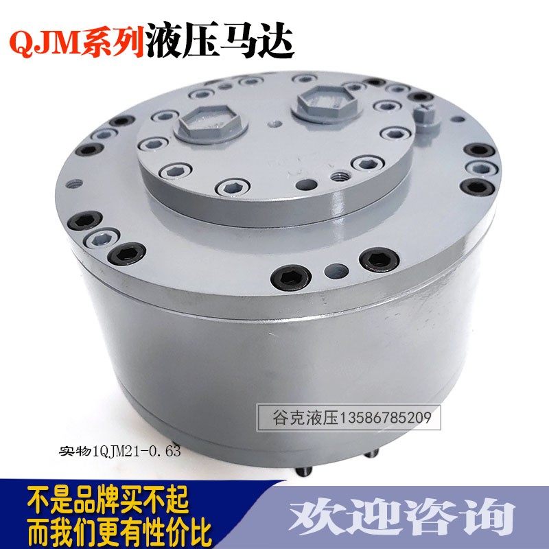 液压钢球马达1QJM21-0.63 1QJM21-0.8 1QJM21-1.25 1QJM21-1.6