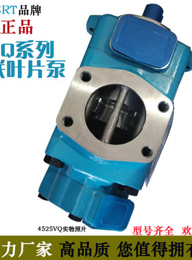 ALBERT艾伯特双联叶片泵4535V-60A38注塑机液压油泵3525V泵2520v