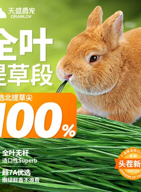 烘干全叶新北提摩西草段绿草料