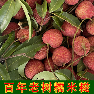 增城荔枝糯米糍新鲜水果包邮百年老树新鲜水果包邮  广东现摘现发