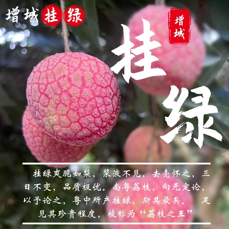 正宗增城二代挂绿荔枝新鲜包邮送礼佳品500g现摘