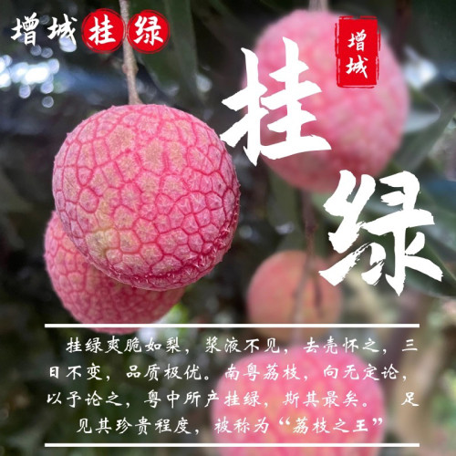 正宗增城二代挂绿荔枝新鲜包邮送礼佳品500g现摘