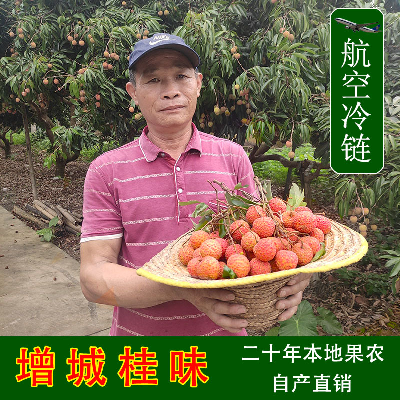 增城桂味荔枝荔枝新鲜水果当季精选五斤现摘现发农家包邮空运冷链