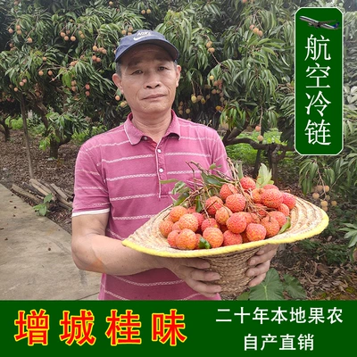 增城桂味荔枝荔枝新鲜水果当季精选五斤现摘现发农家包邮空运冷链