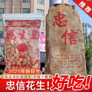 河源忠信水煮花生 日晒咸脆红泥花生皇晒干带壳咸香软糯口感