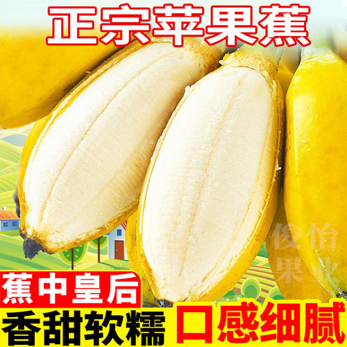 广西苹果蕉新鲜水果甜整箱批发5斤3斤当季时令新鲜水果粉蕉芭蕉