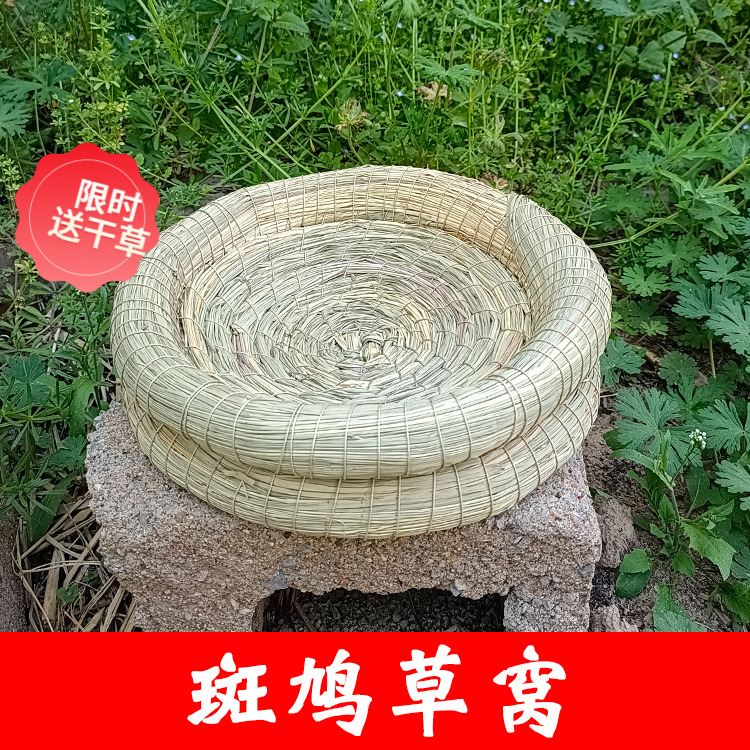 斑鸠鸟窝鸟巢油草窝繁殖孵化冬天保暖家用饲养阳台窗户野鸽子用品