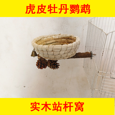 鹦鹉花椒木站杆鸟窝虎皮牡丹