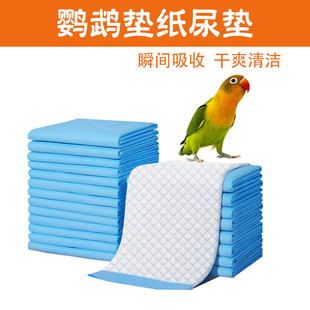 鹦鹉鸟笼子尿垫尿不湿幼鸟雏鸟垫纸一次性玄凤和尚粪便垫料子用品