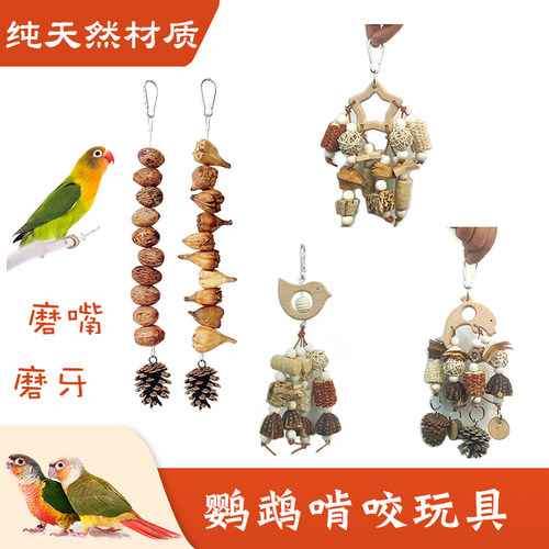 鹦鹉啃咬串玩具玩耍专用小太阳