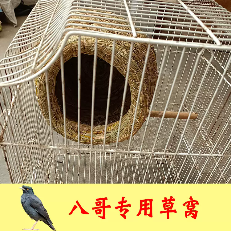八哥专用稻草窝保暖鸟窝用品