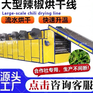 大型辣椒烘干线雷竹笋干制作设备朝天椒白米椒青椒履带式烘干机
