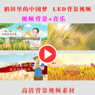 稻田里的中国梦致敬袁隆平学生表演出节目动态LED屏幕视频素