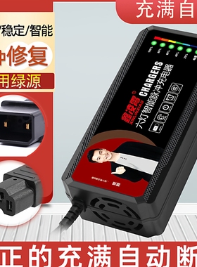 适用绿源电动车电瓶充电器48V60V72V80V84V96V20AH爱玛通