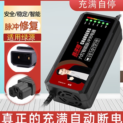 适用绿源电动车电瓶充电器48V60V72V80V84V96V20AH爱玛通