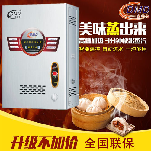 多美多B-RZQ-60蒸汽发生器正品
