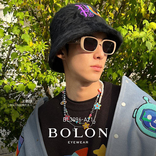 王鹤太阳眼镜Bolon小框墨镜