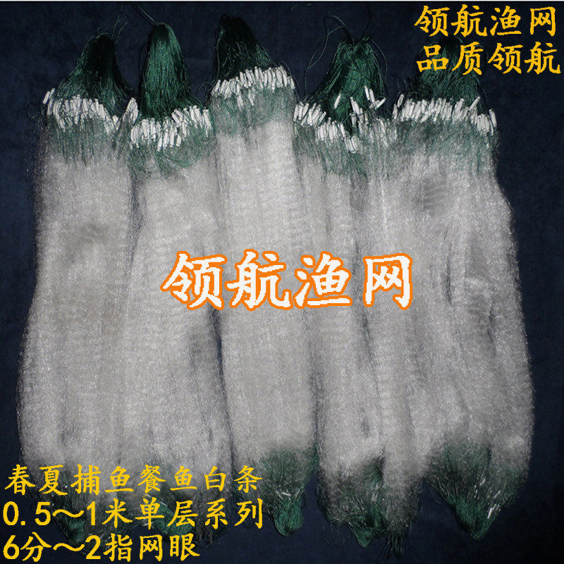 餐鱼白条粘网丝网小鱼网拎纲提纲长坠6分7分1指2指单层渔网捕鱼具