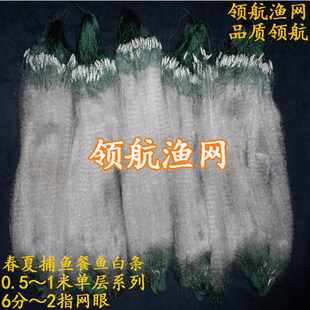 餐鱼白条粘网丝网小鱼网拎纲提纲长坠6分7分1指2指单层渔网捕鱼具