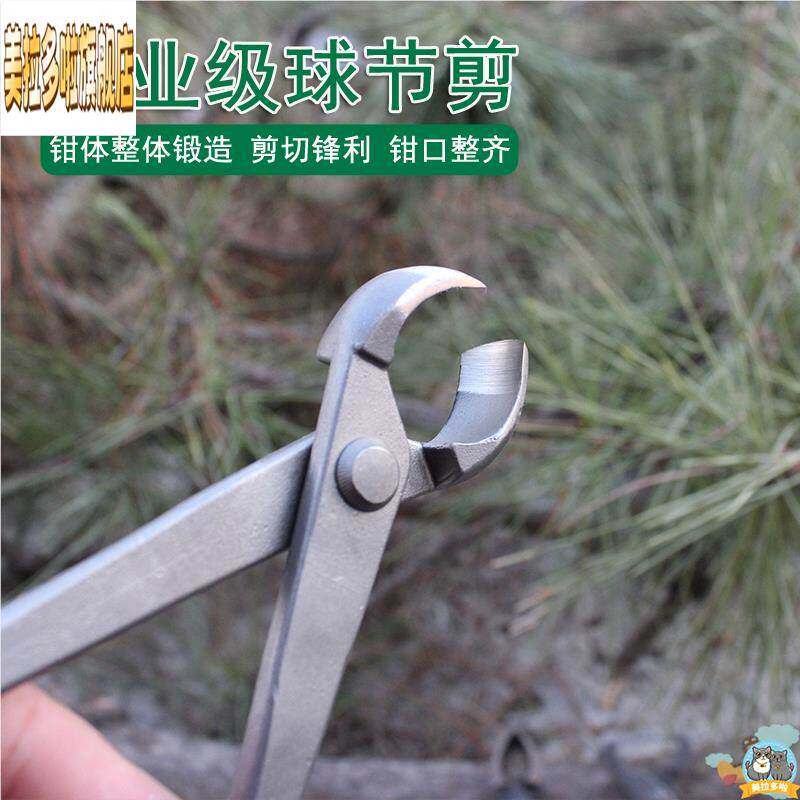 盆景工具球节剪日本球形树瘤球节钳盆景树枝修剪钳专业平口胡桃钳