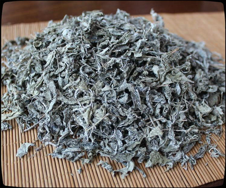 银牡丹茶叶银君子厦门鼓浪屿野白茶