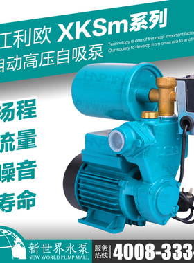 利欧水泵 XKSm60-1A 70-1A 80-1A 90-1A 全自动高压自吸泵 抽水泵