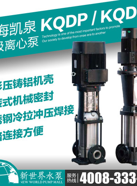 凯泉泵KQDP/KQDQ80-45-17 62 71 44 53 16 26轻型立式多级泵380V