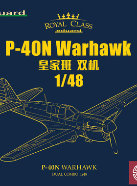 铸造模型 牛魔王拼装飞机 R0025 1/48 P-40N Warhawk 皇家班 双机