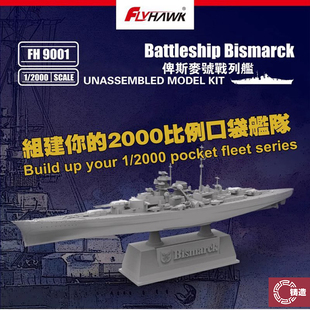 铸造 鹰翔口袋舰队 9001/9002 俾斯麦/提尔比兹号战列舰 1/2000