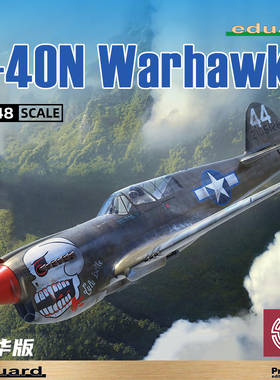 铸造模型 牛魔王拼装飞机 82242 1/48 P-40N Warhawk 豪华版