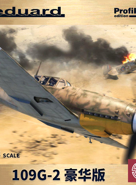 铸造模型 牛魔王拼装飞机 82165 109G-2 豪华版 1/48