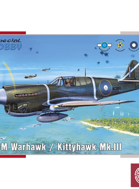 铸造模型 Special Hobby 72382 P-40M Warhawk 战斗机 1/72