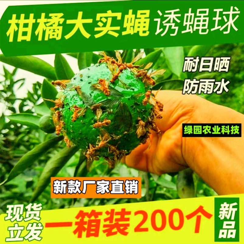 诱蝇球粘虫球诱虫球大实蝇果树粘虫球针蜂苍蝇球果园诱捕器挂球