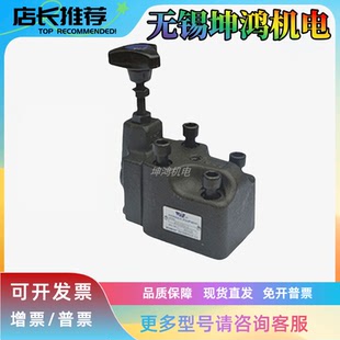 02G 02T 10G WINMOST峰昌溢流阀RV