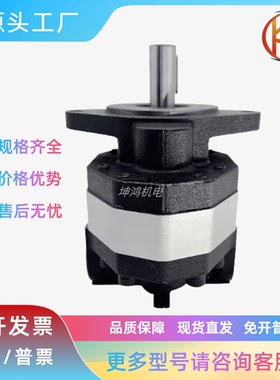 CBFC调直机油泵GJCBCBFC-20/25/32/40/50/63液压农机专用齿轮泵机