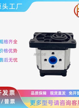 液压齿轮泵发动机拖拉机油泵CBN-F310L/F306L/F320L/F314L/F316L