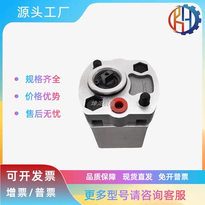 CAPRONI卡普罗尼齿轮泵20/18 10C2X053M林德叉车20A11X072全新