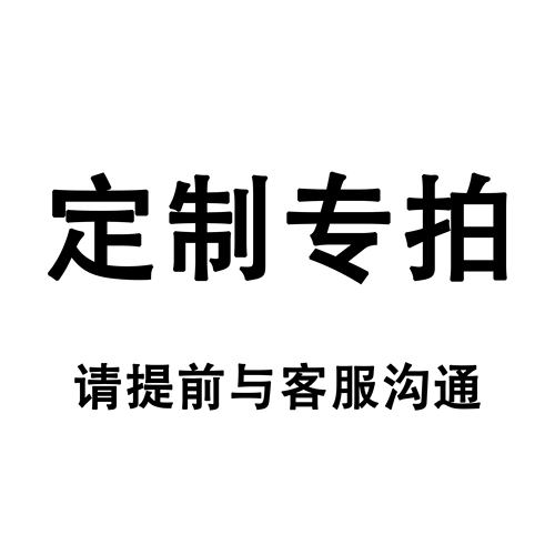 本店定制货物专拍链接请与客服商议再拍私拍只发一个零件