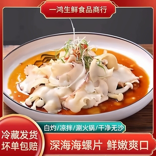 原味海螺肉300g白灼海鲜芥末冷冻深海螺片即食半成品食材凉菜商用