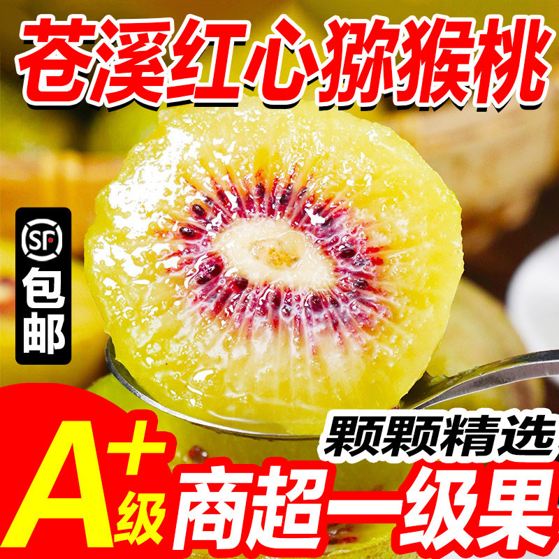 四川广元苍溪红心猕猴桃 奇异果新鲜采摘8 10大果特大果顺丰包邮