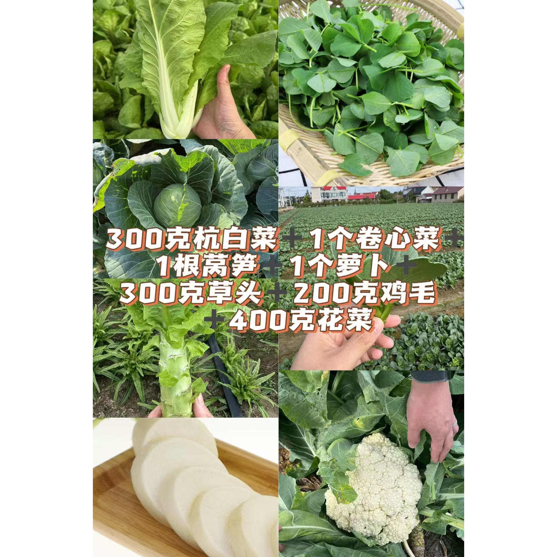 【江浙沪包邮】崇明蔬菜组合杭白菜卷心菜莴笋萝卜草头鸡毛菜花菜,水产肉类/新鲜蔬果/熟食,叶菜类,淘宝优惠券,粉丝福利购,淘宝优惠卷